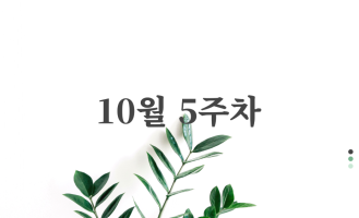 10월 5주차