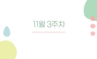 11월 3주차