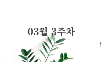 3월 3주차