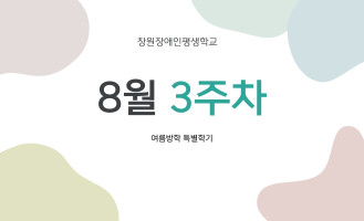 8월 3주차